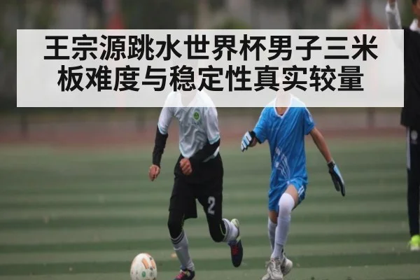 王宗源跳水世界杯男子三米板难度与稳定性真实较量